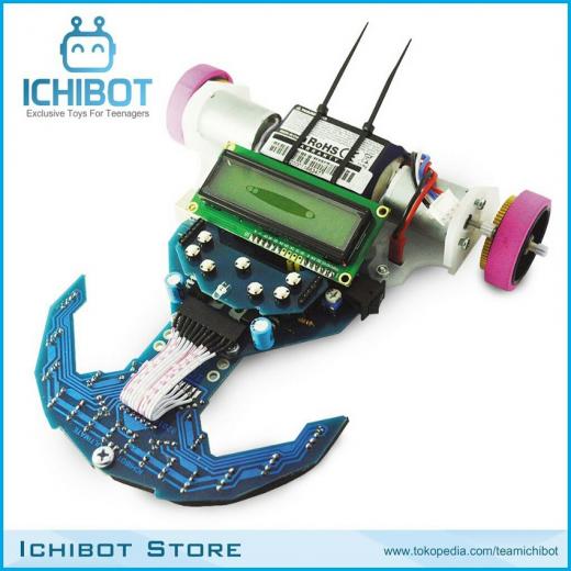 ICHIBOT, Startup Bervisi Besar untuk Indonesia.